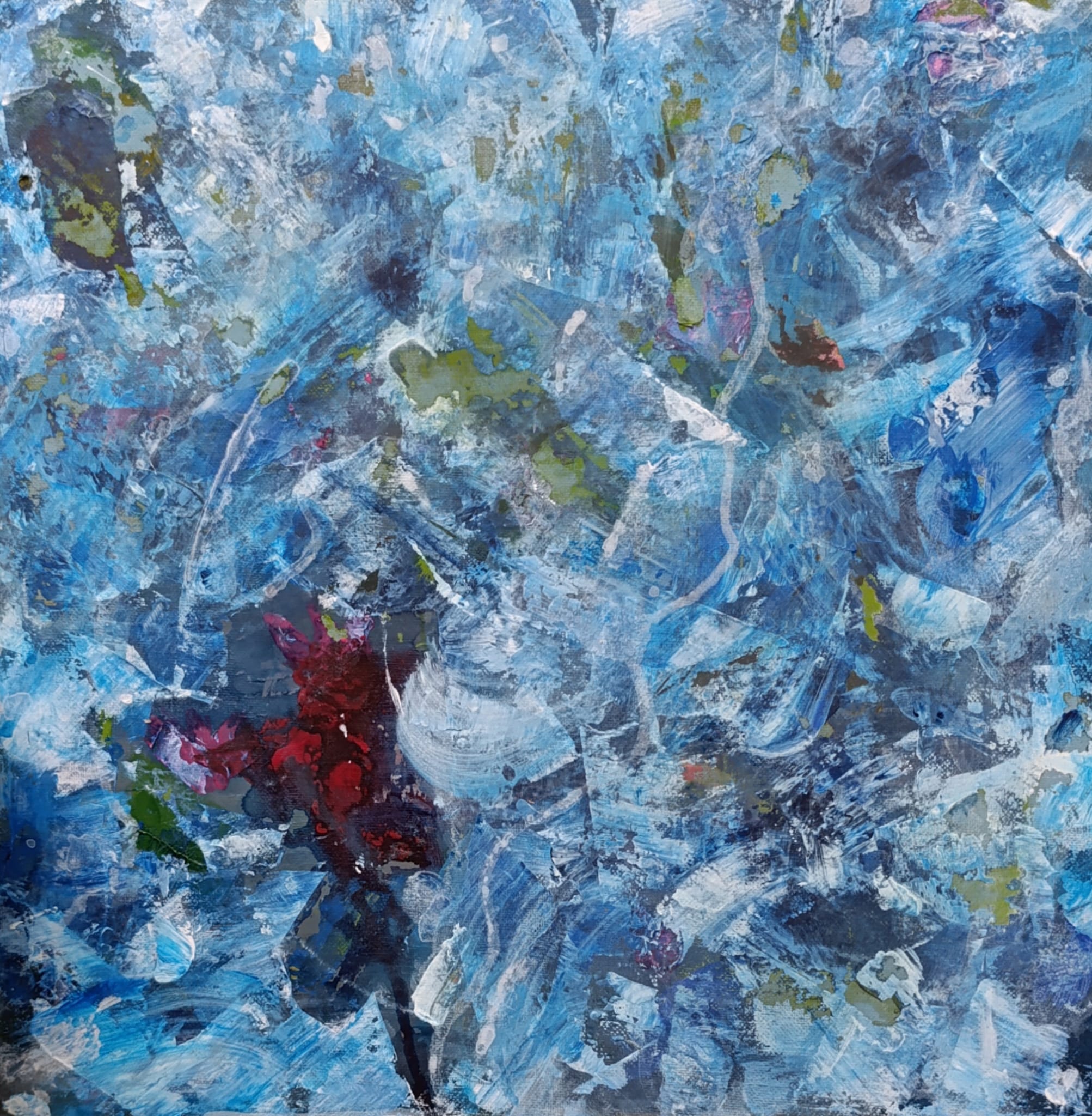 Sueño nocturno de una rosa copia